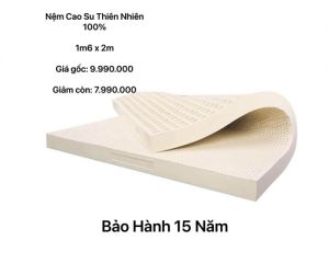 Nêm cao su thiên nhiên 100%